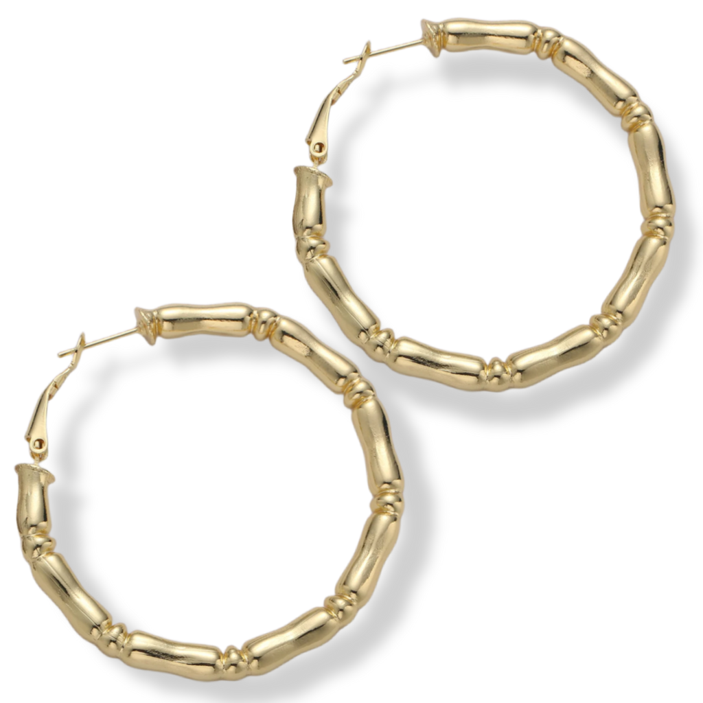 LA CERVA HOOPS